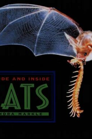Cover of Outside and Inside Bats