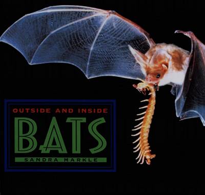 Book cover for Outside and Inside Bats