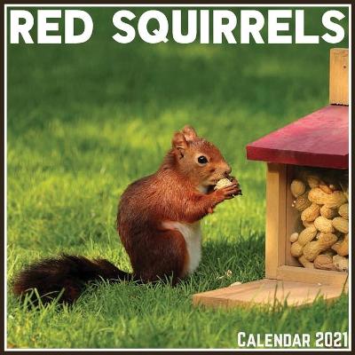 Book cover for Red Squirrels Calendar 2021