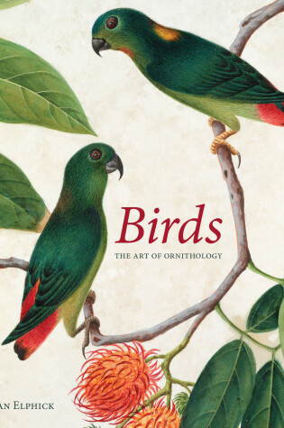 Cover of Birds