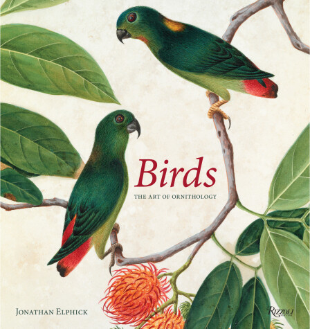 Book cover for Birds