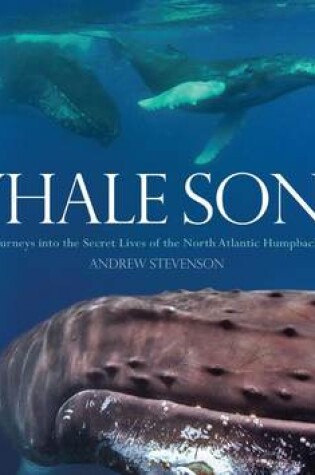 Cover of Whale Song