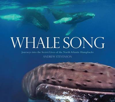 Book cover for Whale Song