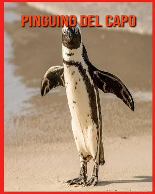 Book cover for Pinguino del Capo