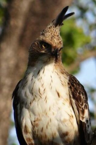 Cover of Changeable Hawk-Eagle (Nisaetus Cirrhatus) Journal