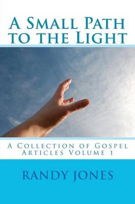 Book cover for A Small Path to the Light