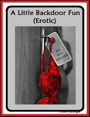 Book cover for A Little Backdoor Fun (Erotic)