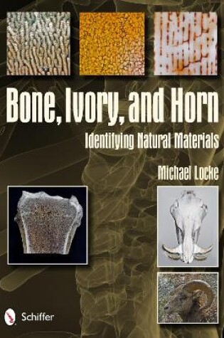 Cover of Bone, Ivory, and Horn: Identifying Natural Materials