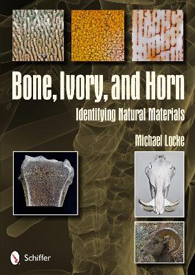 Book cover for Bone, Ivory, and Horn: Identifying Natural Materials