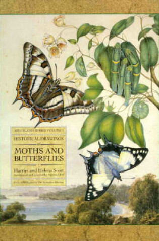 Cover of Historical Drawings of Moths and Butterflies and Native Flowers