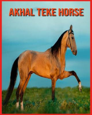 Book cover for Akhal Teke Horse