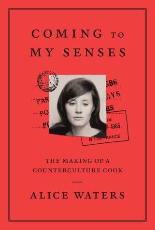 Book cover for Coming to My Senses