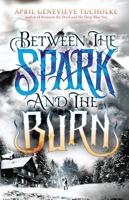 Book cover for Between the Spark and the Burn