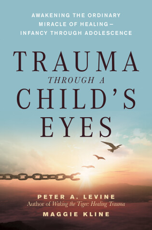 Cover of Trauma Through a Child's Eyes