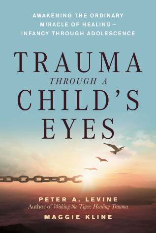 Book cover for Trauma Through a Child's Eyes