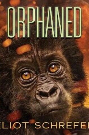 Cover of Orphaned
