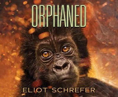 Book cover for Orphaned