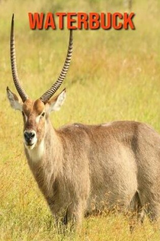 Cover of Waterbuck