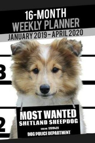 Cover of 2019-2020 Weekly Planner - Most Wanted Shetland Sheepdog (Sheltie)