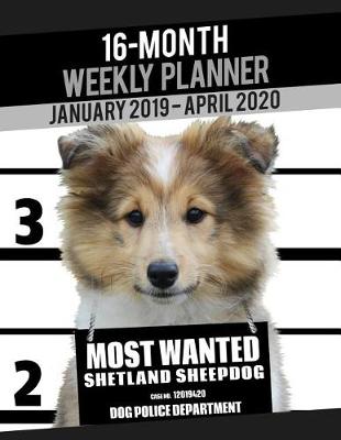 Cover of 2019-2020 Weekly Planner - Most Wanted Shetland Sheepdog (Sheltie)