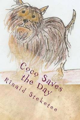 Book cover for Coco Saves the Day