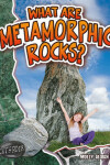 Book cover for What Are Metamorphic Rocks?