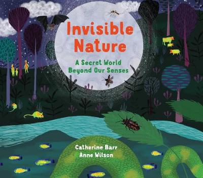 Book cover for Invisible Nature