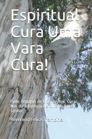 Cover of Espiritual Cura Uma Vara Cura!