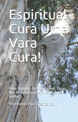 Book cover for Espiritual Cura Uma Vara Cura!