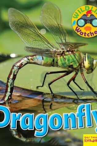 Cover of Wildlife Watchers: Dragonfly