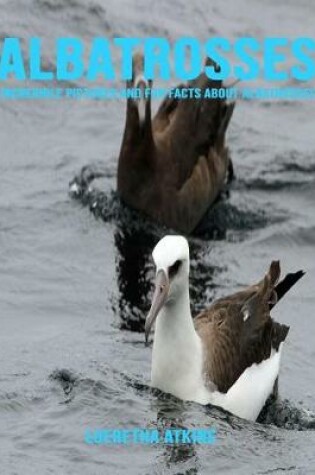 Cover of Albatrosses