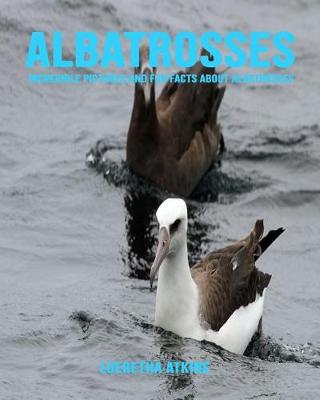 Book cover for Albatrosses