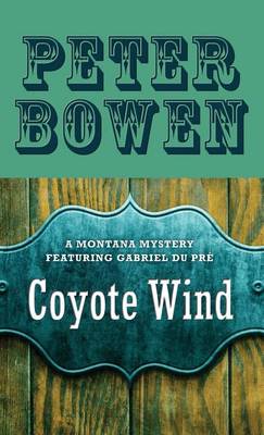 Book cover for Coyote Wind