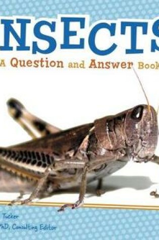 Cover of Insects QandA