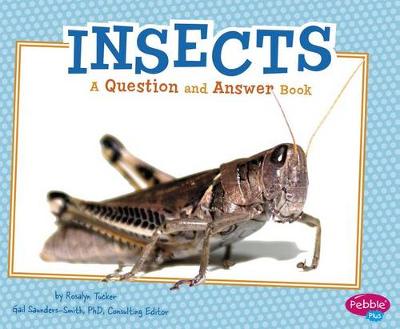 Book cover for Insects QandA