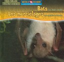 Book cover for Night Animals / Animales Nocturnos