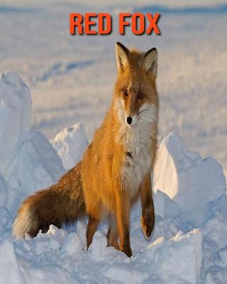 Book cover for Red Fox