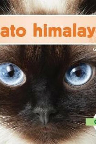 Cover of Gato Himalayo (Himalayan Cats) (Spanish Version)