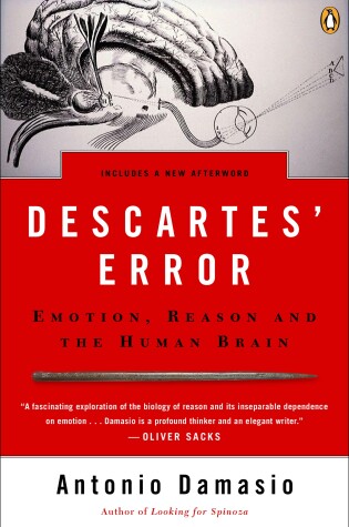 Cover of Descartes' Error