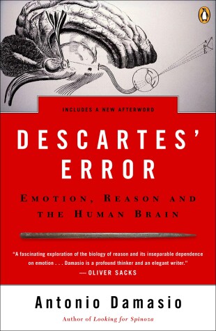 Book cover for Descartes' Error