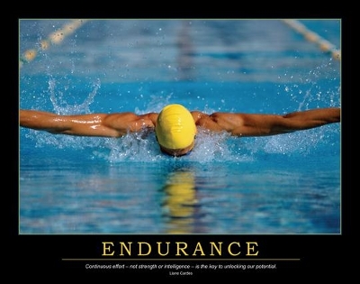 Book cover for Endurance Poster