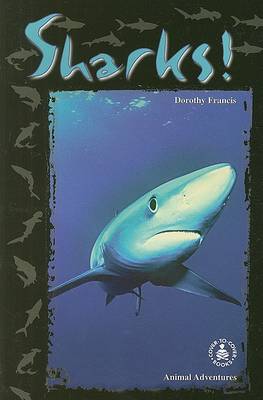 Cover of Sharks!