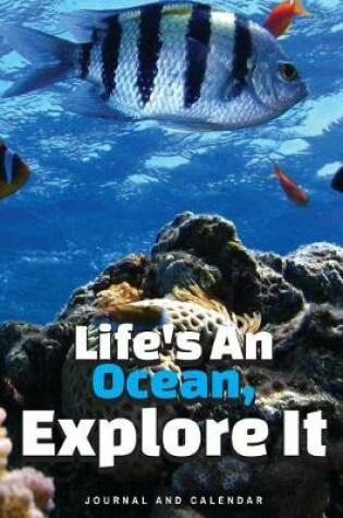 Cover of Life's an Ocean, Explore It