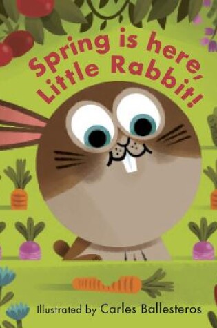 Cover of Spring Is Here, Little Rabbit!