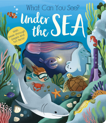 Book cover for What Can You See? Under the Sea