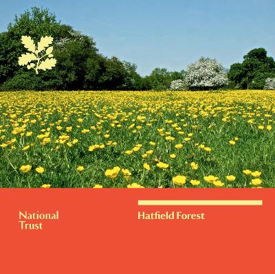 Book cover for Hatfield Forest