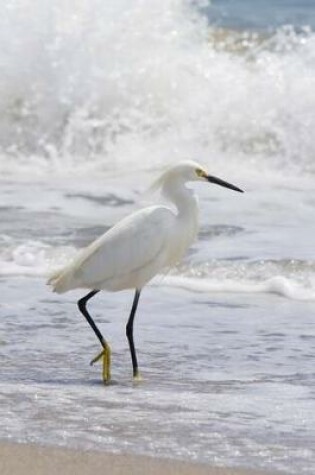 Cover of Snowy Egret on the Beach Journal