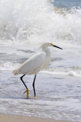 Book cover for Snowy Egret on the Beach Journal