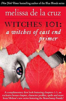 Book cover for Witches 101