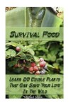 Book cover for Survival Food